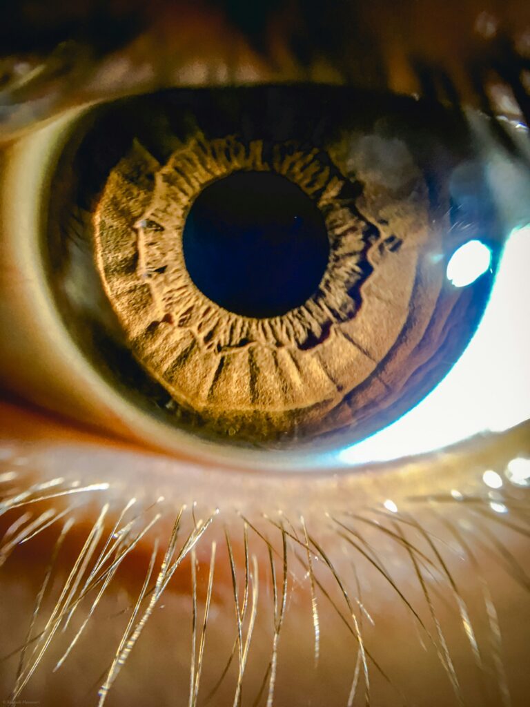 Vision & The Seer Archetype (Haden Resource Guide)